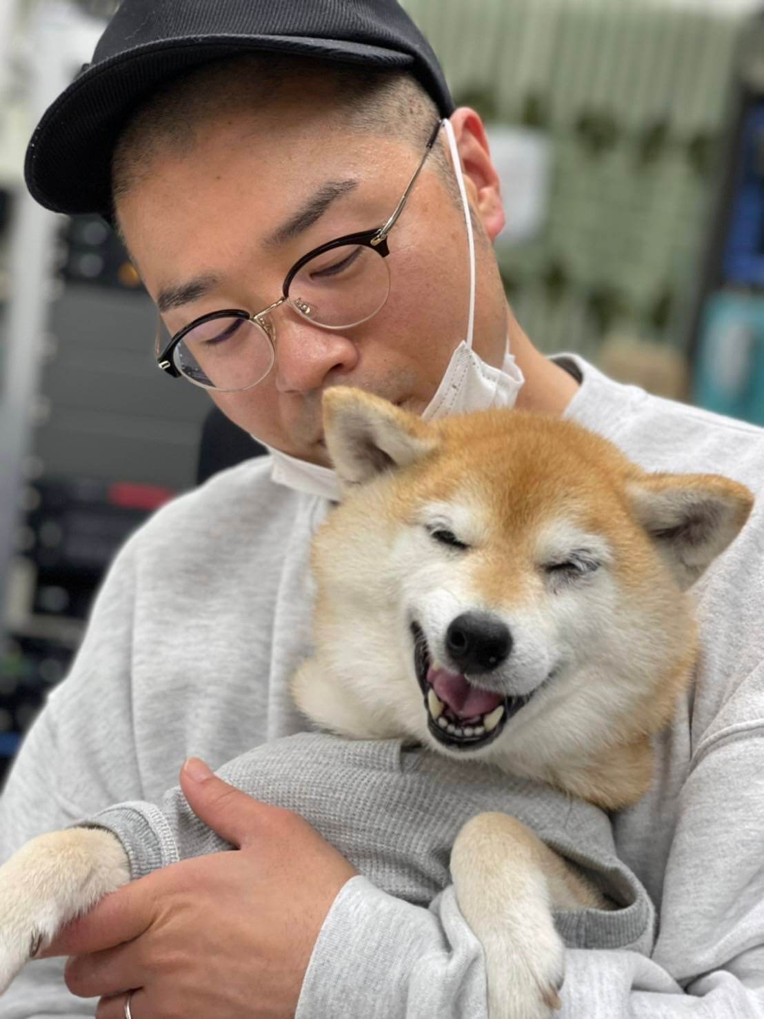 柴犬ライフ,アキナ山名,おまめ