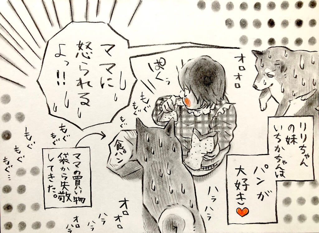 柴犬,勝手に妄想しば