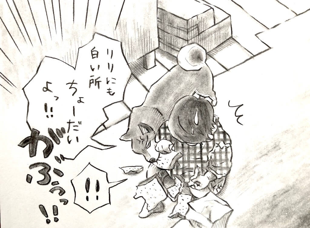 柴犬,勝手に妄想しば