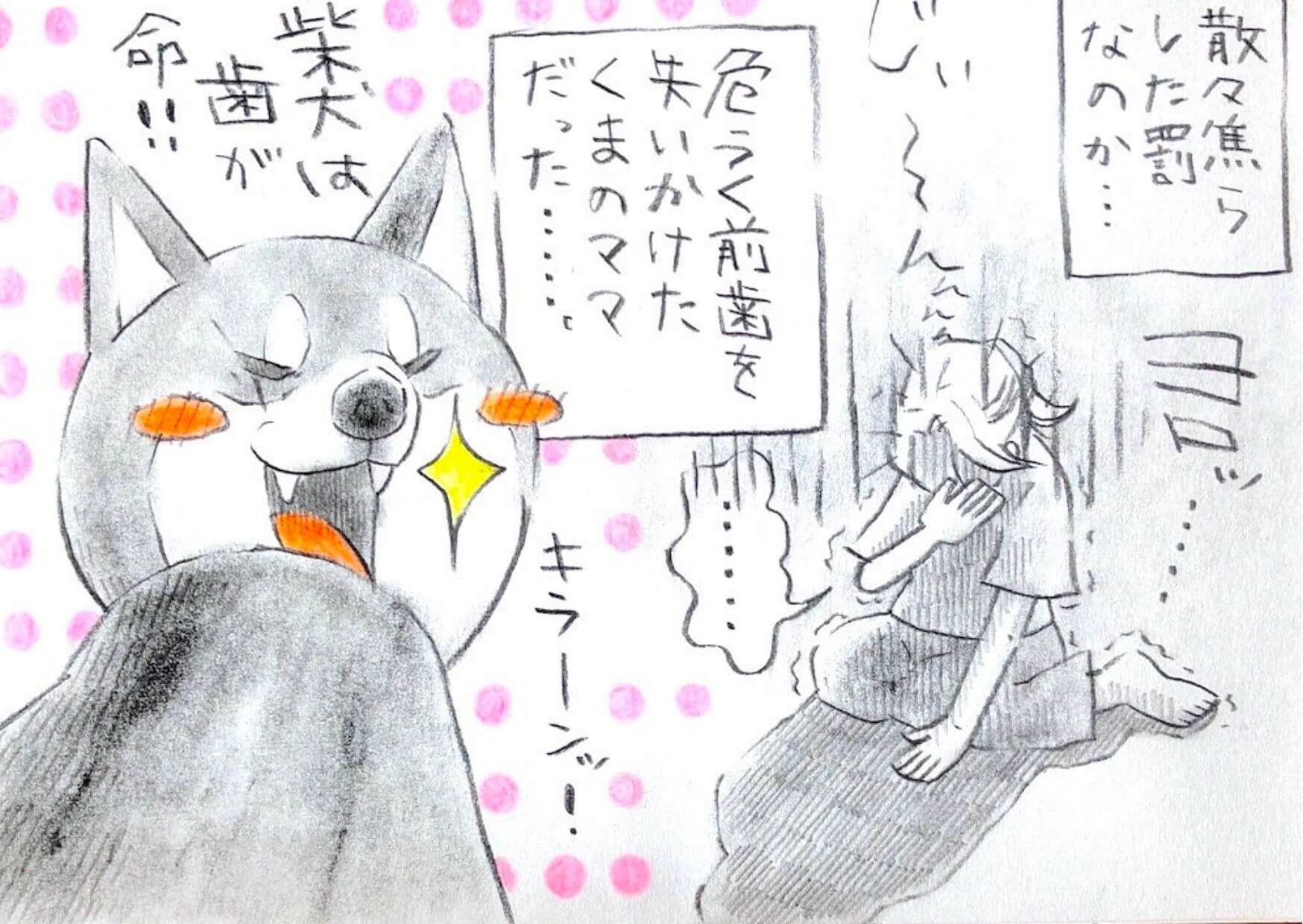 勝手に妄想しば,柴犬イラスト