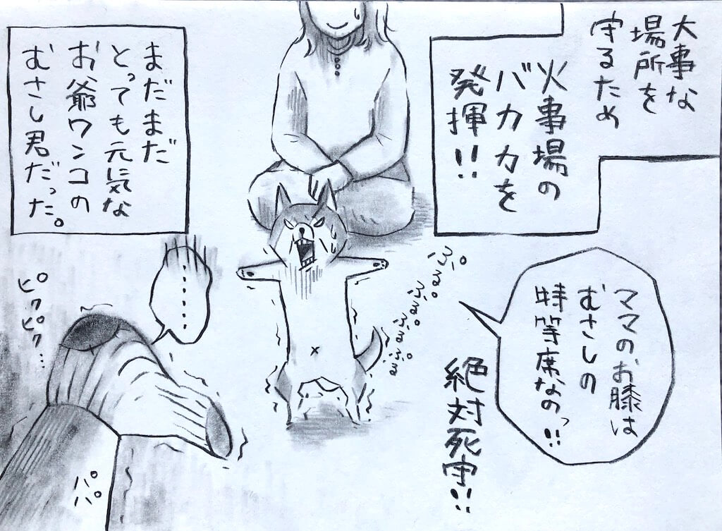 勝手に妄想しば,柴犬イラスト