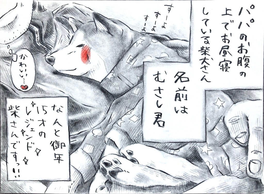 勝手に妄想しば