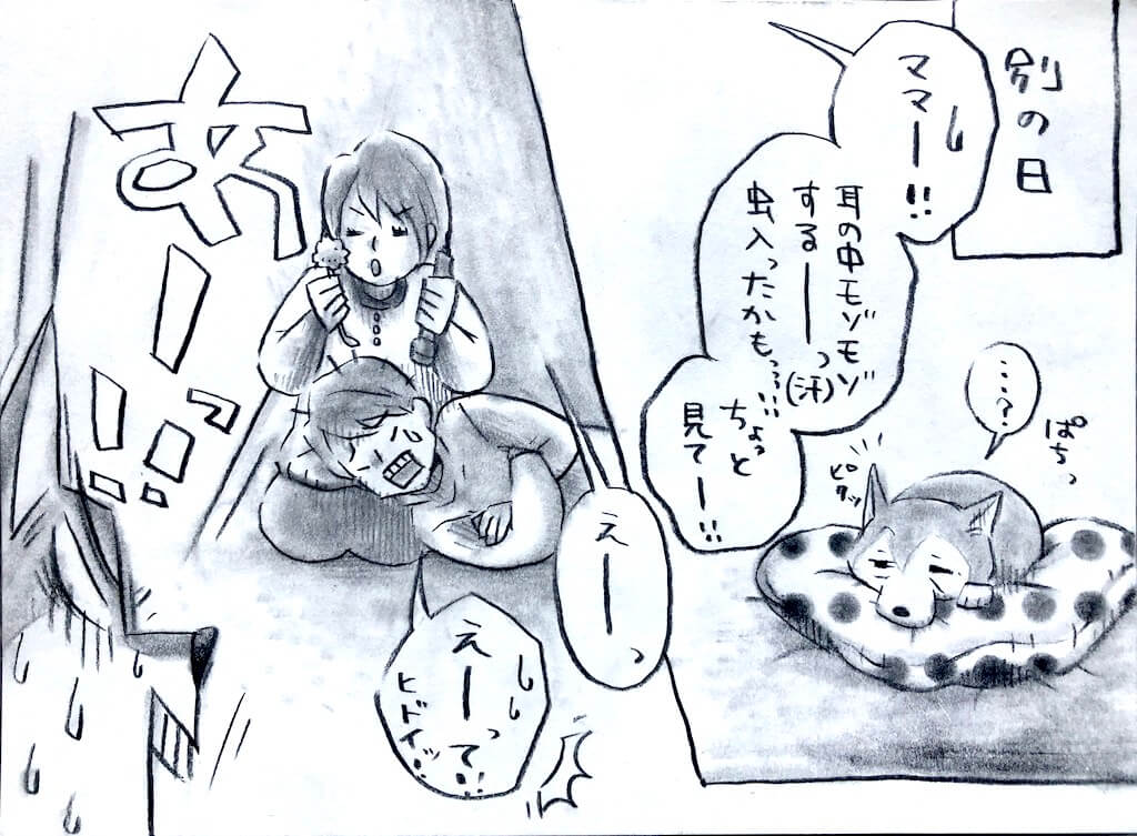 勝手に妄想しば