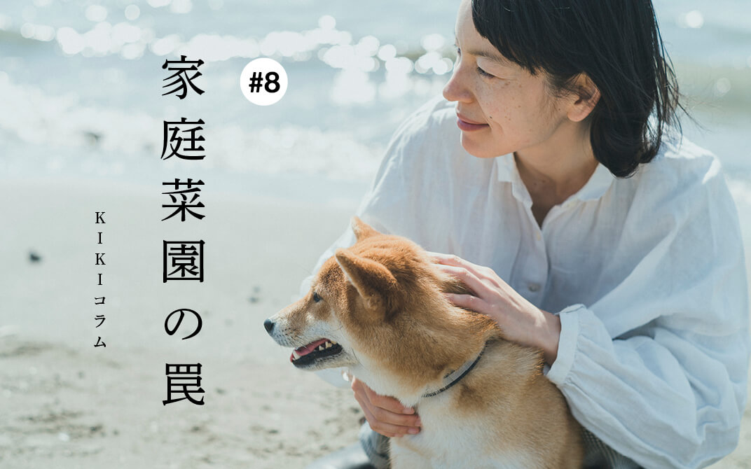 柴犬ライフ,kiki,モデル