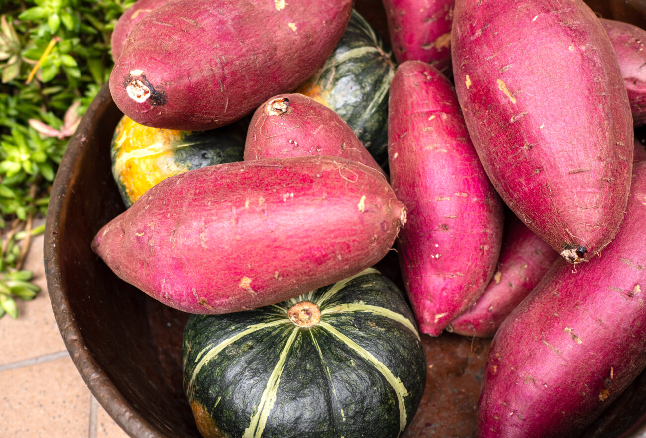 柴犬,ココグルメ,フレッシュフード