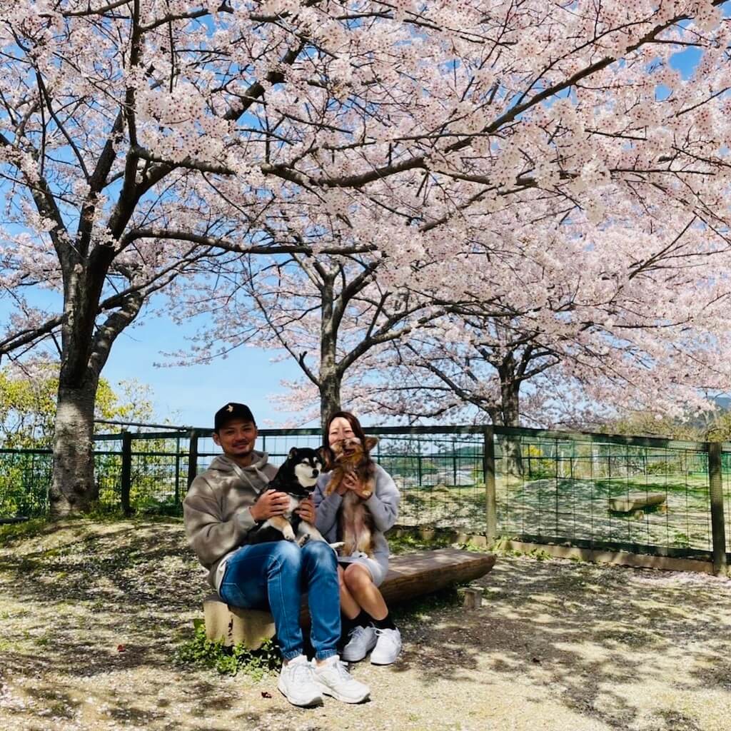 柴犬,チワックス,飼い主と柴犬