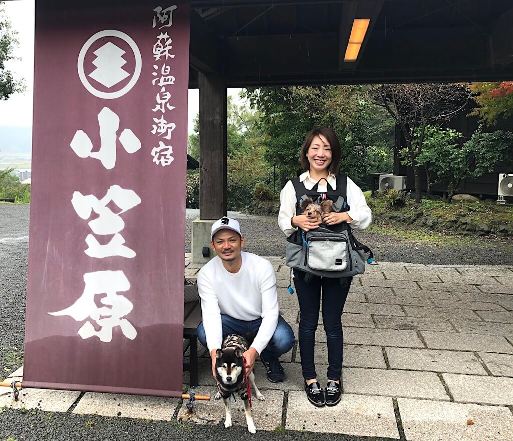 柴犬,チワックス,飼い主と柴犬