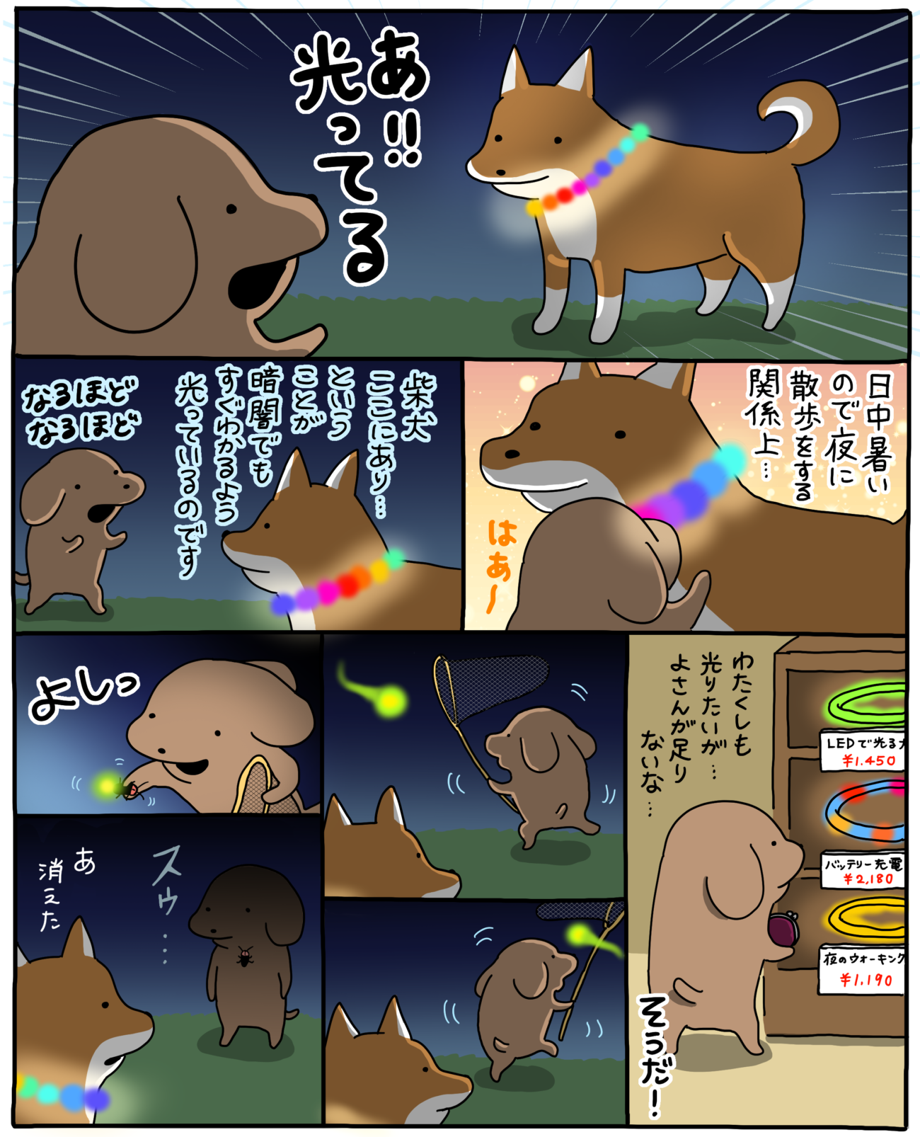 柴犬ライフ,うかうか