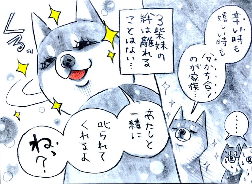 勝手に妄想しば