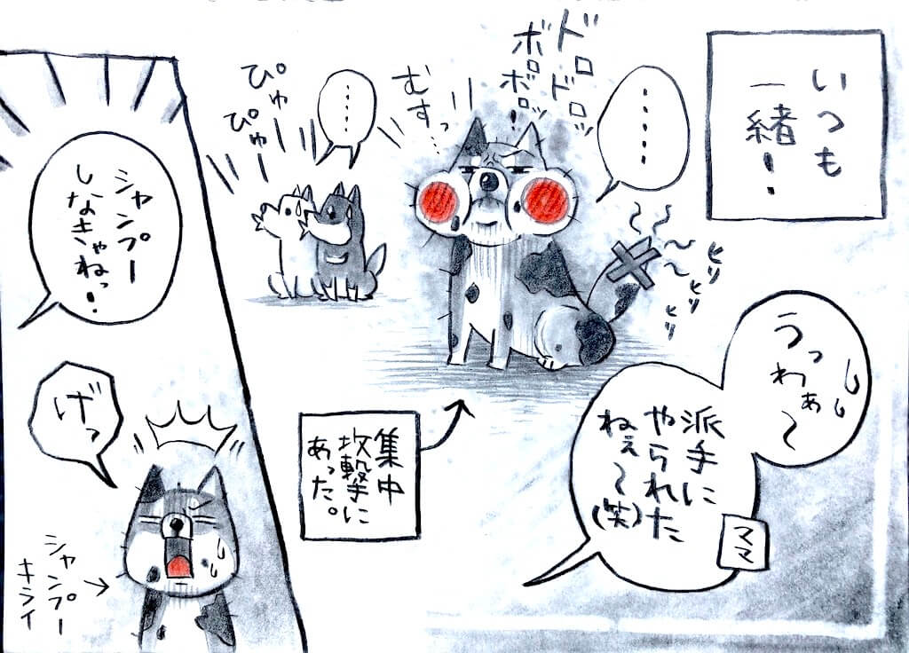 勝手に妄想しば