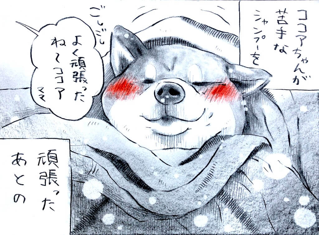 勝手に妄想しば