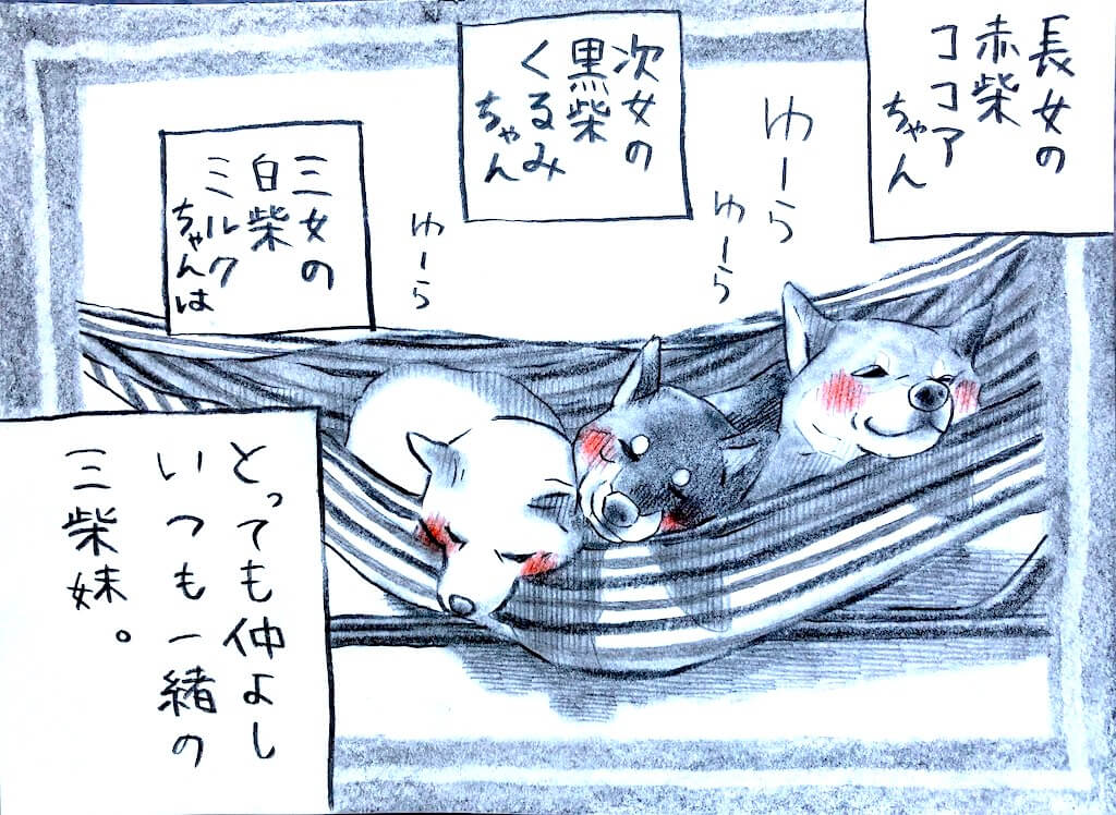 勝手に妄想しば