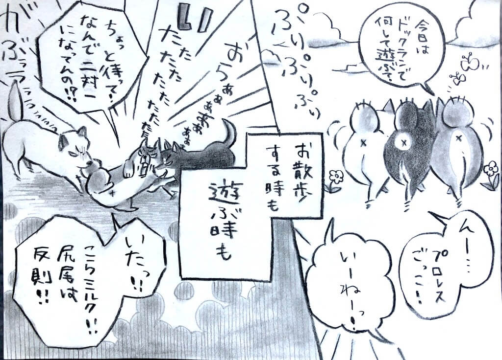 勝手に妄想しば