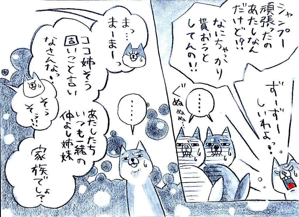 勝手に妄想しば