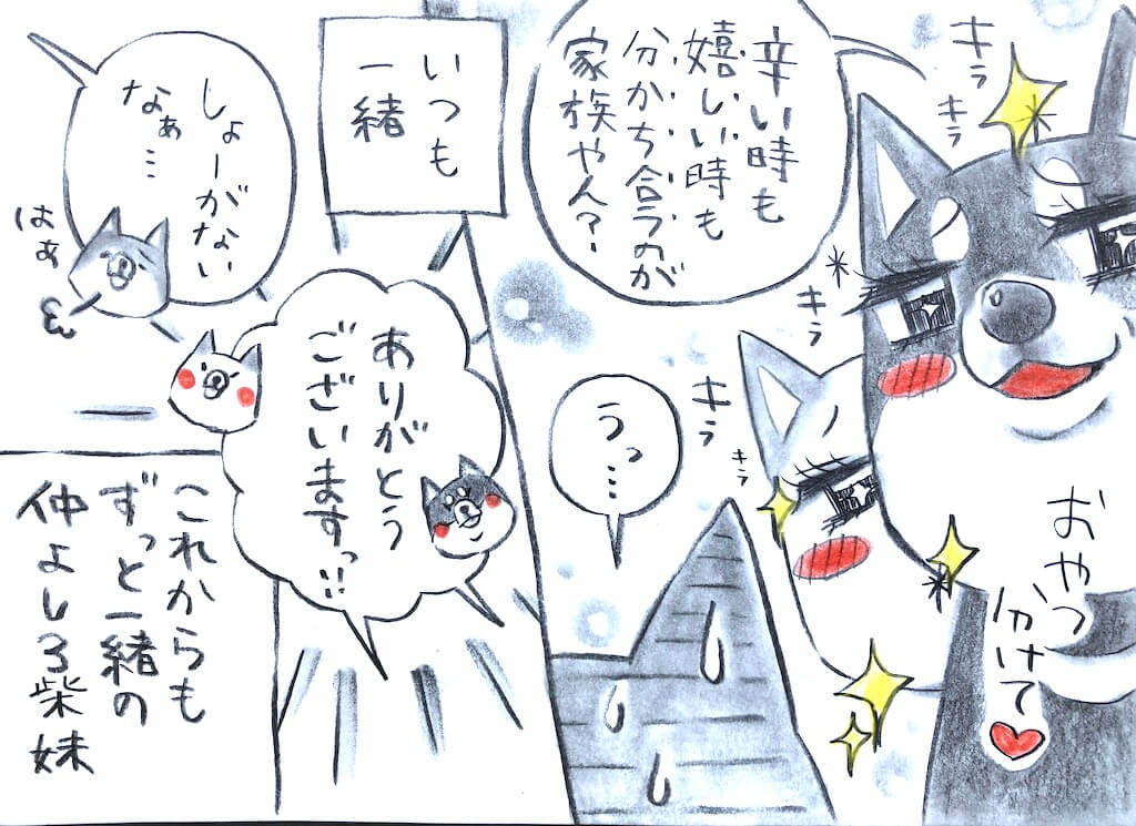 勝手に妄想しば