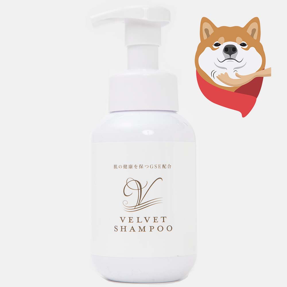 柴犬ライフ,ベルベットシャンプー,皮膚病