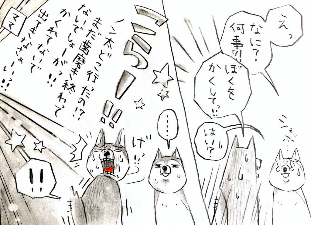 柴犬イラスト