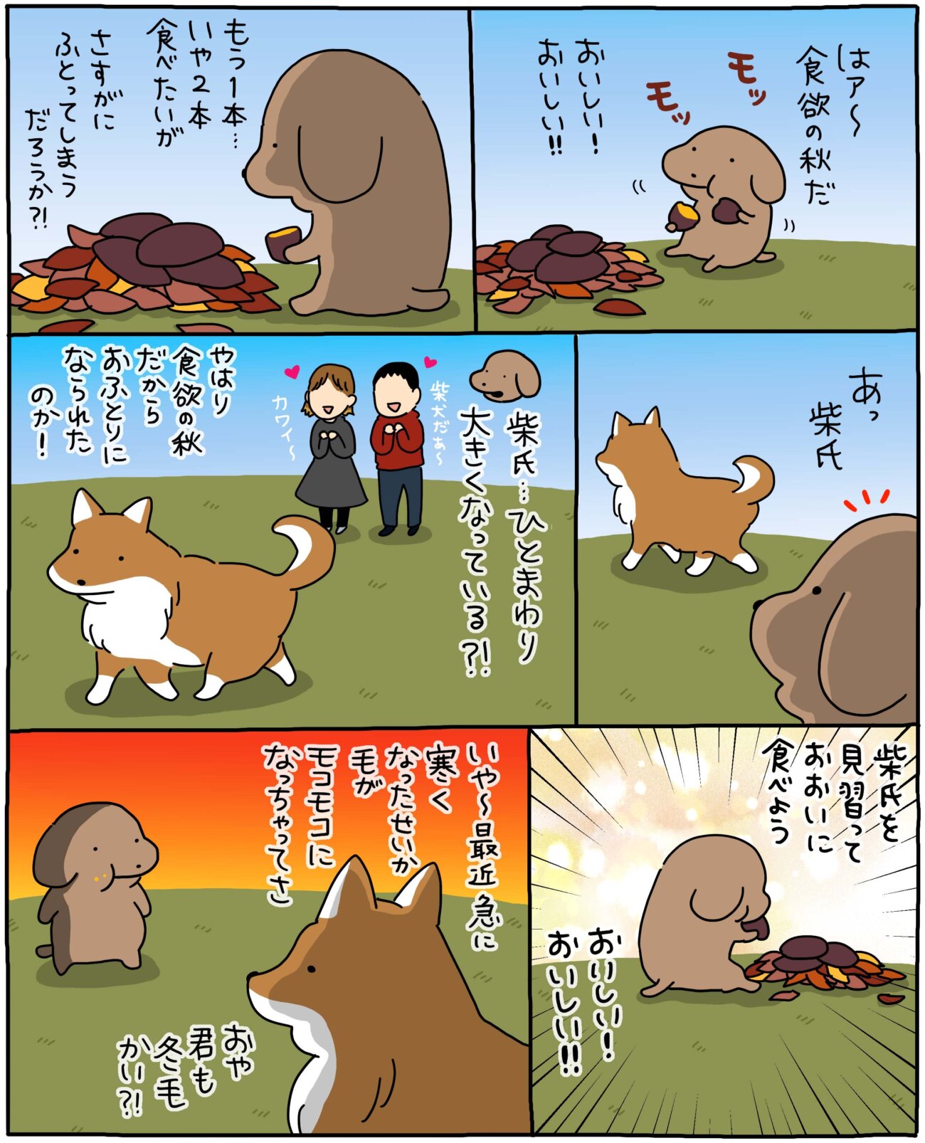 【マンガ連載】こいぬと柴犬#21「柴犬の太り？」作：うかうか | 柴犬ライフ [Shiba-Inu Life]