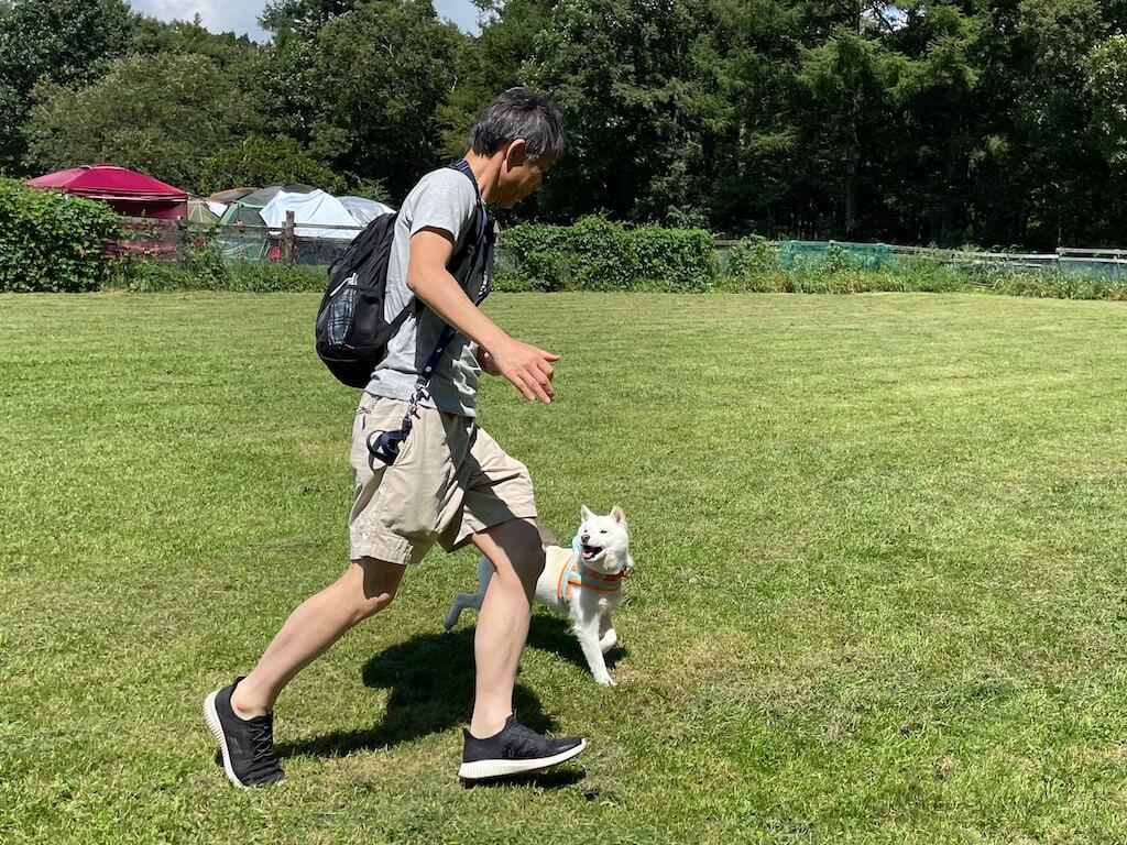 柴犬とオーナー