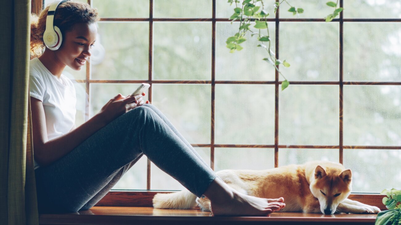 柴犬ライフ,見守りカメラ,switchbot