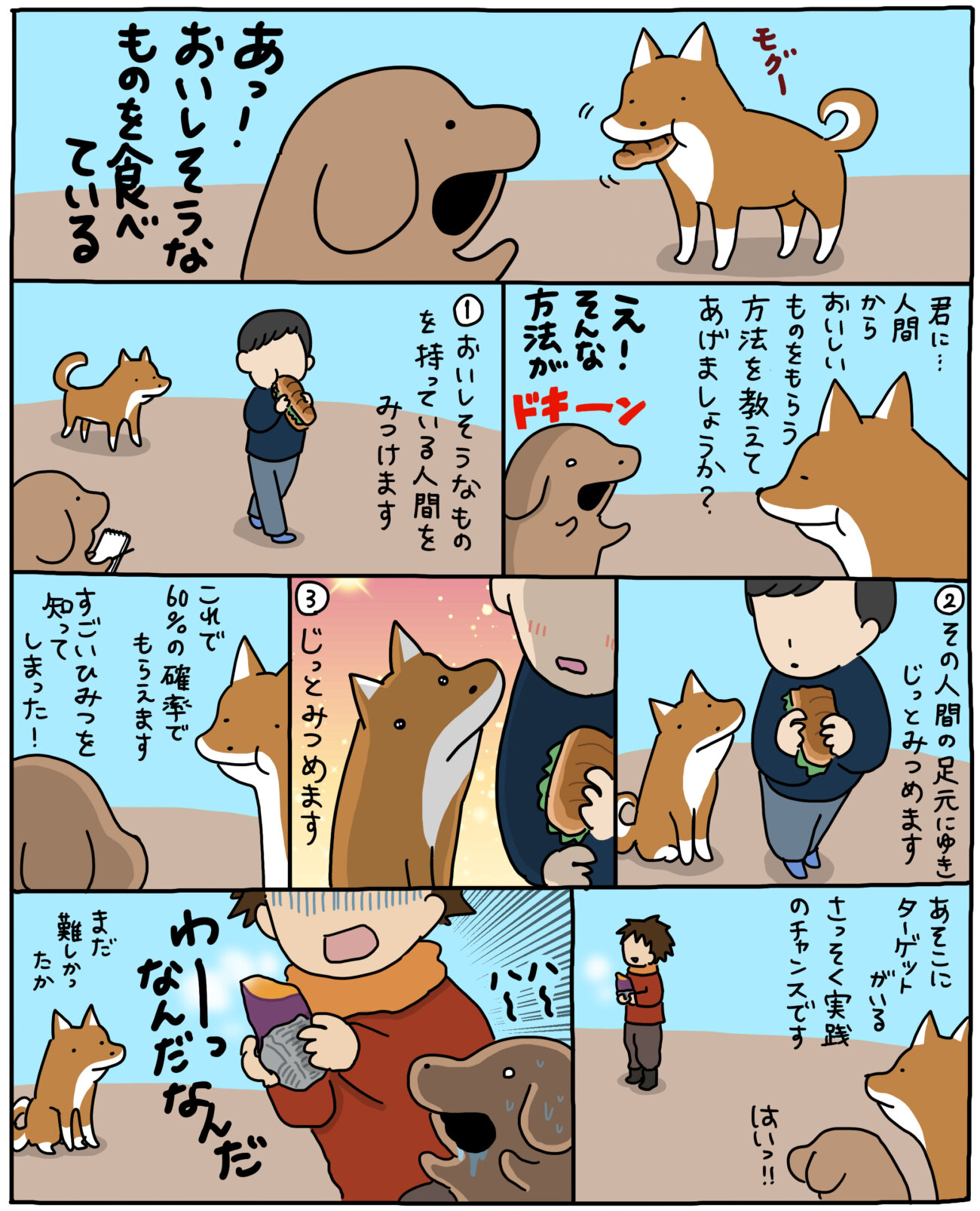 【マンガ連載】こいぬと柴犬#23「柴犬の技術」作：うかうか | 柴犬ライフ [Shiba-Inu Life]