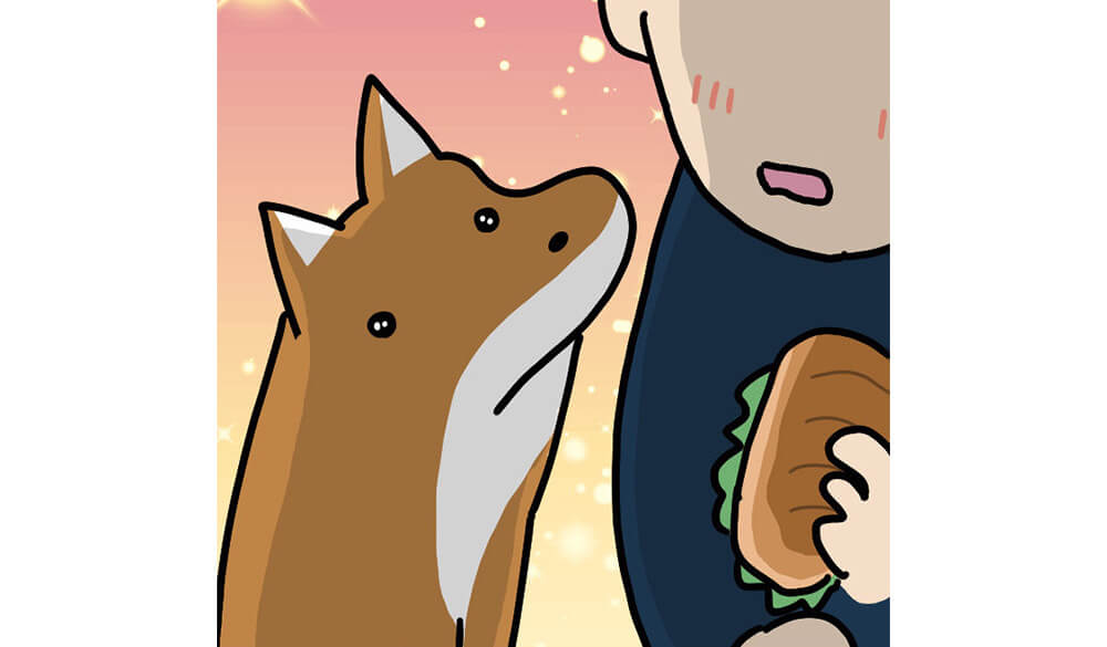 【マンガ連載】こいぬと柴犬#23「柴犬の技術」作：うかうか | 柴犬ライフ [Shiba-Inu Life]