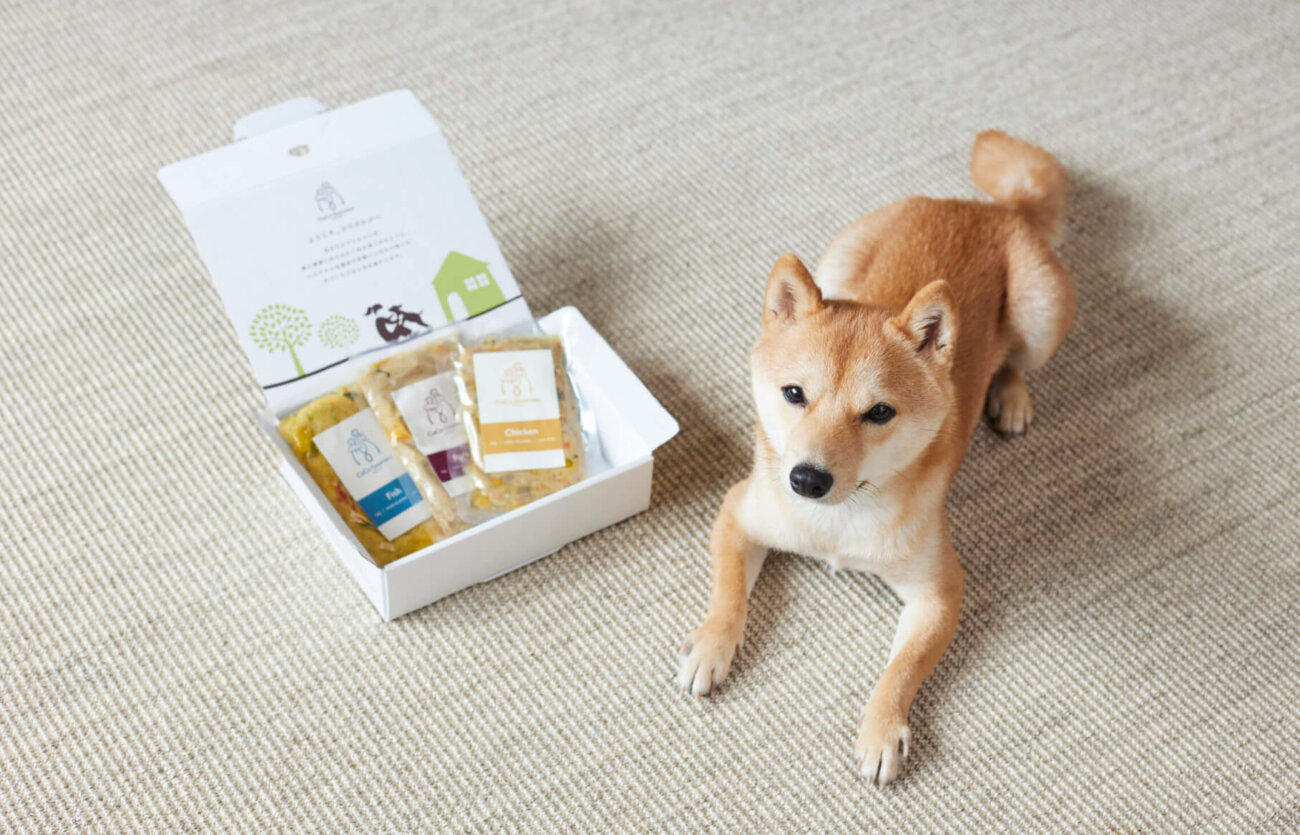 柴犬,フレッシュフード,ココグルメ