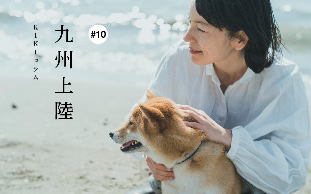 柴犬ライフ,KIKI,モデル,連載