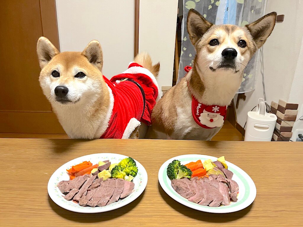 柴犬と柴ミックス