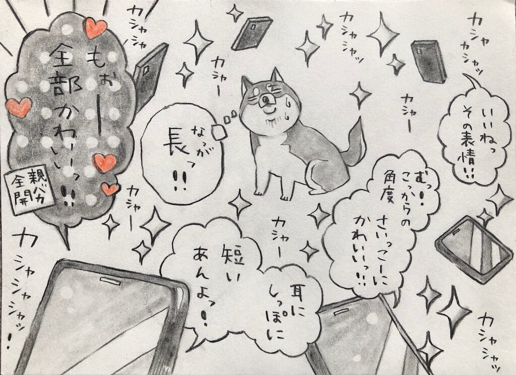 勝手に妄想しば