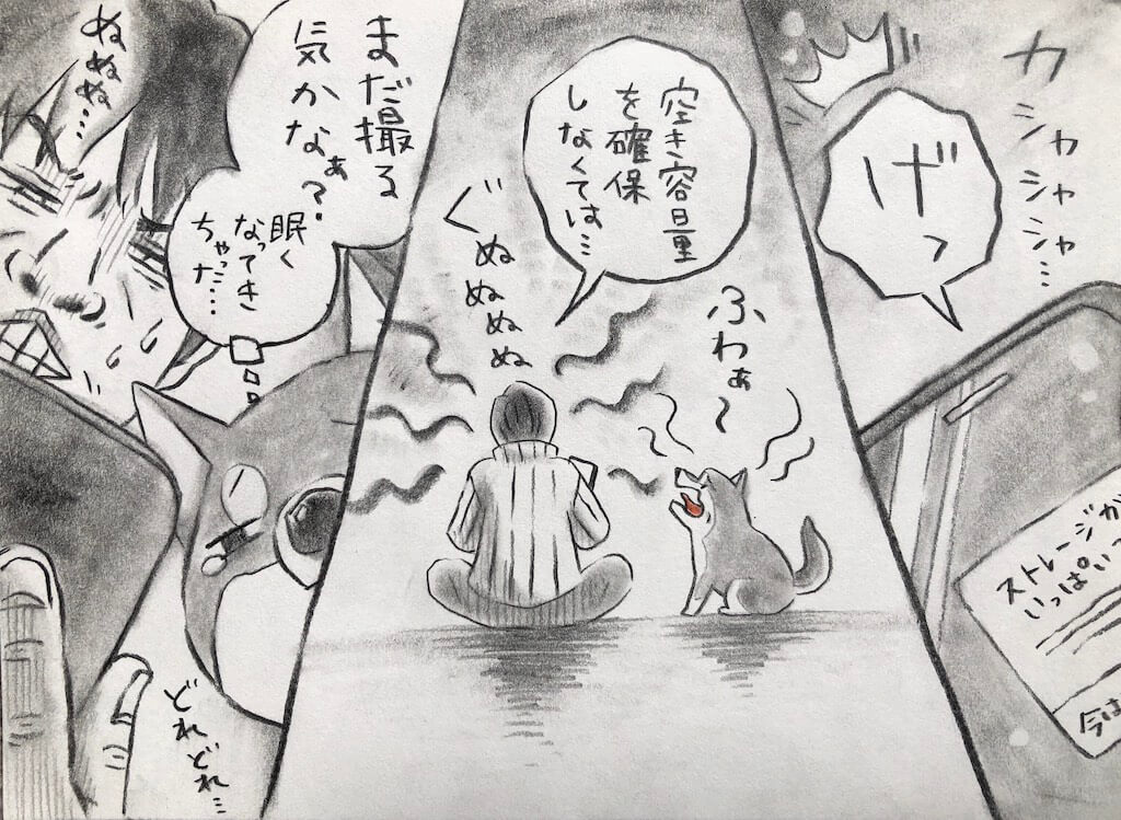 勝手に妄想しば