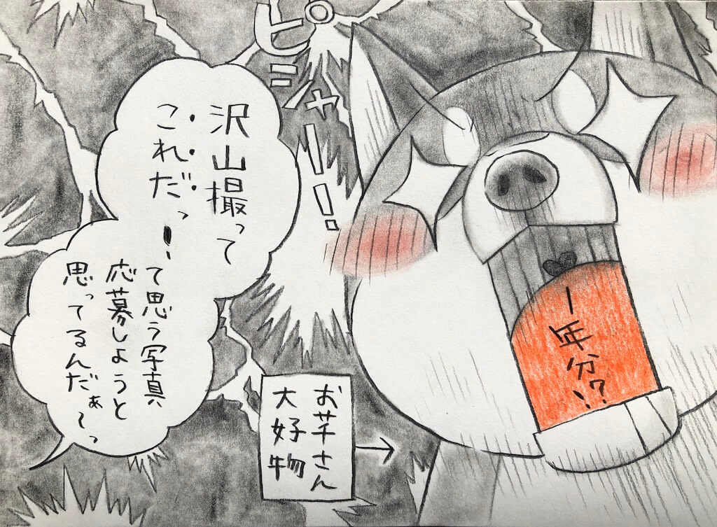 勝手に妄想しば