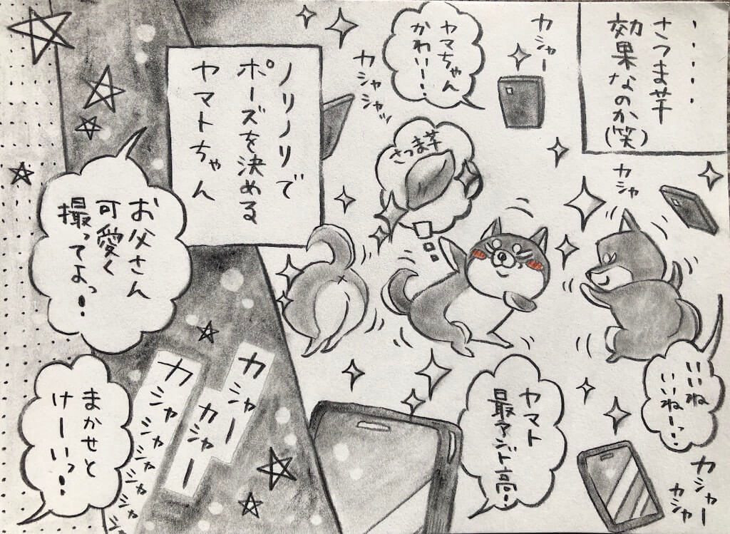 勝手に妄想しば