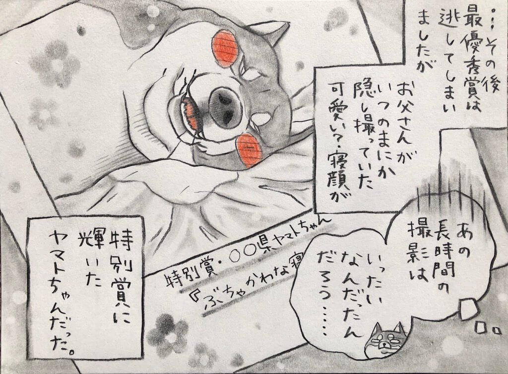 勝手に妄想しば