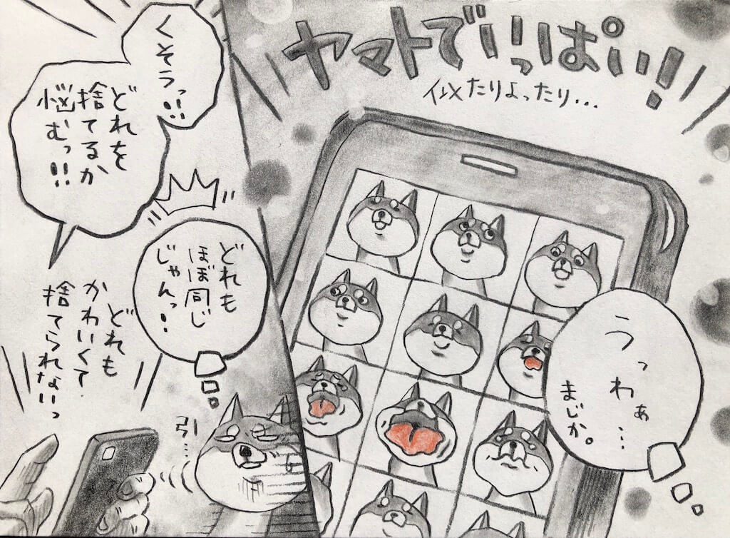 勝手に妄想しば