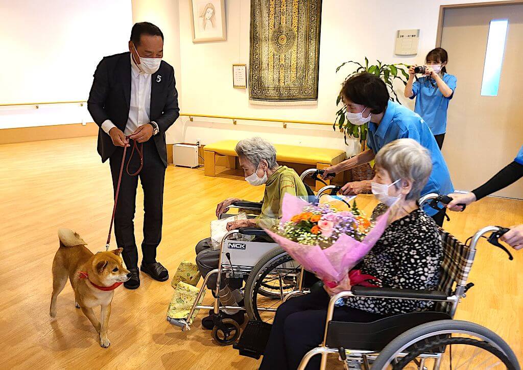 観光大使として高齢者ホームへ慰問する柴犬