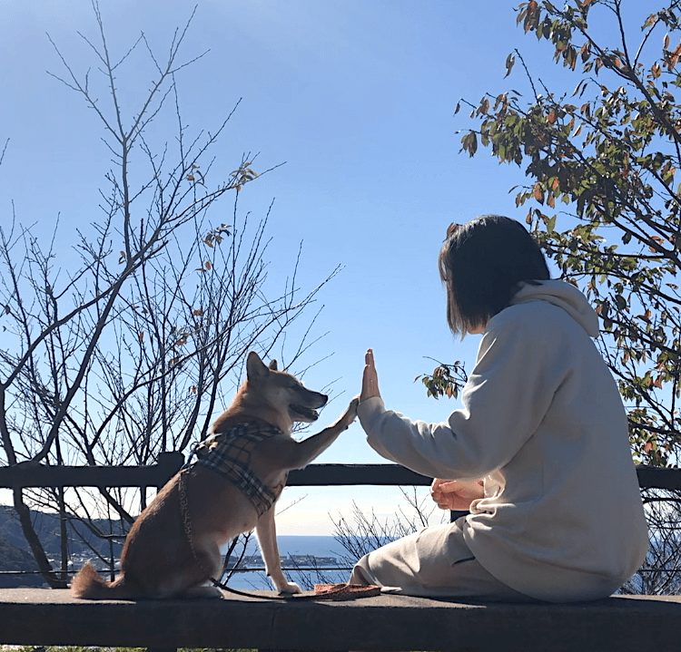 柴犬とオーナー