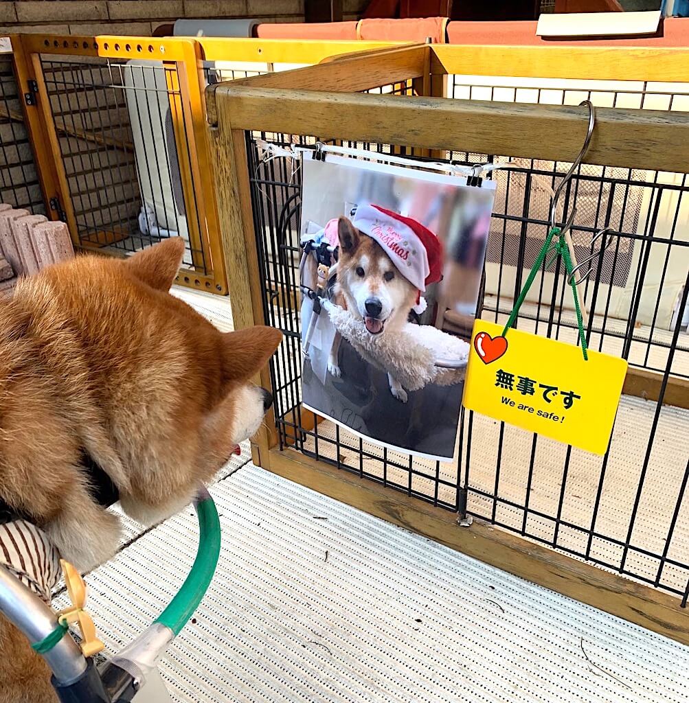 近隣の方へ安否確認