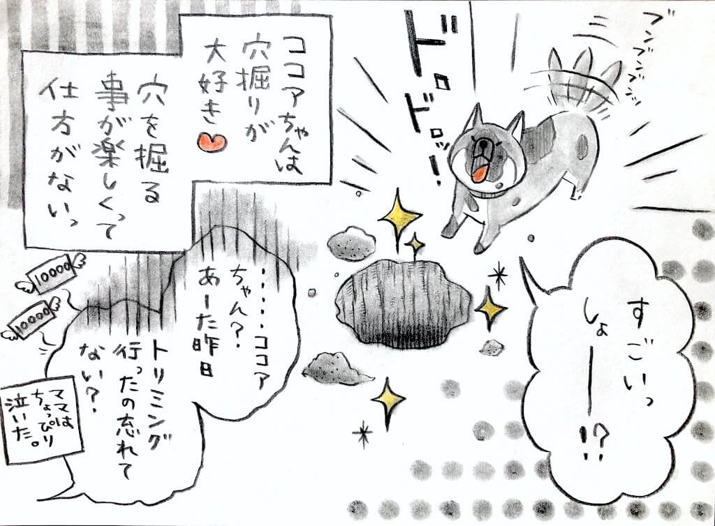 勝手に妄想しば