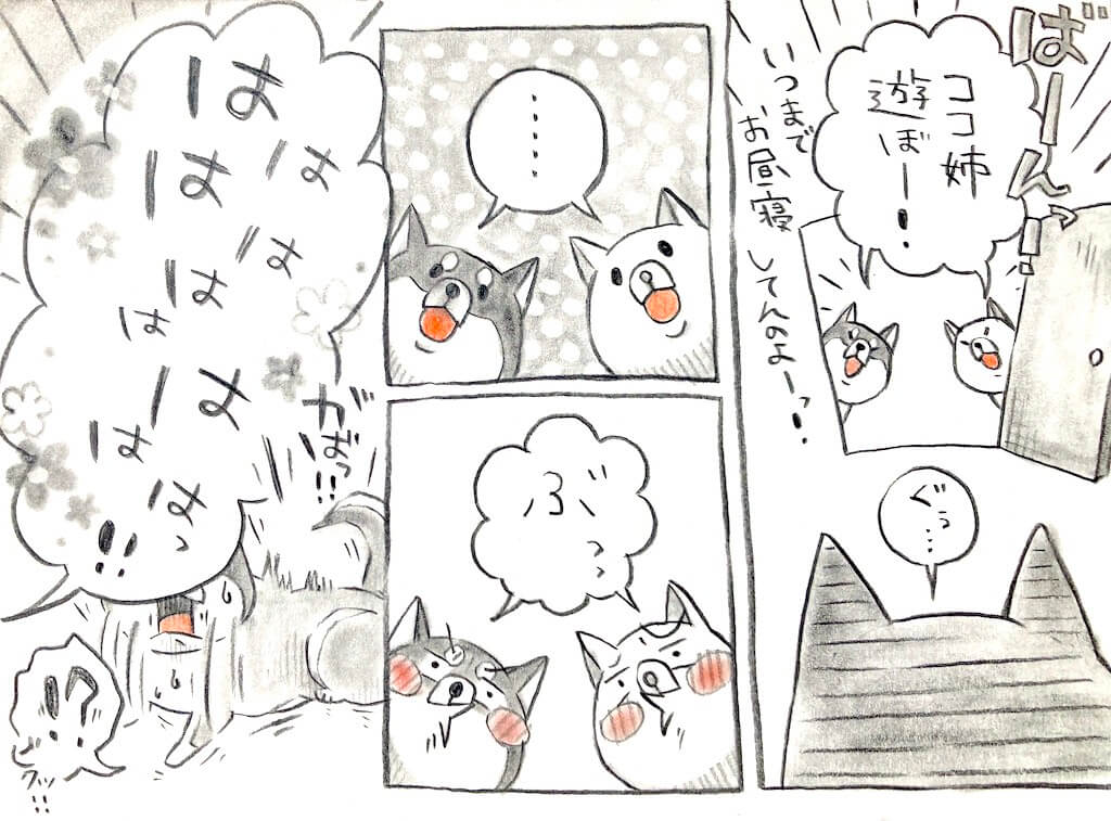 勝手に妄想しば