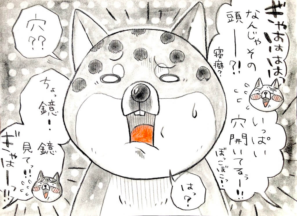 勝手に妄想しば