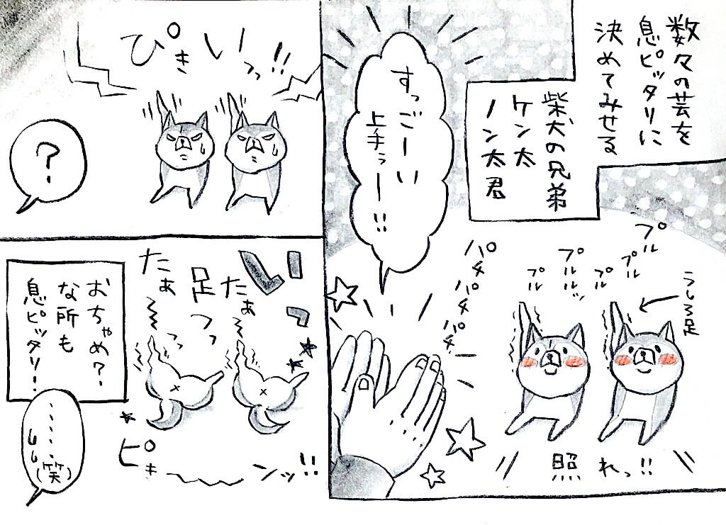 勝手に妄想しば