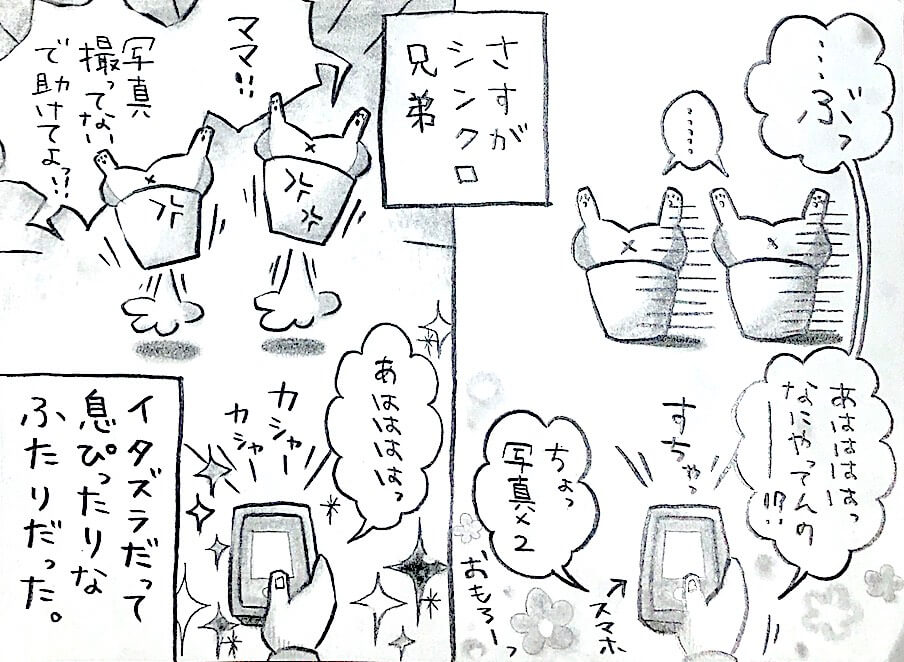 勝手に妄想しば