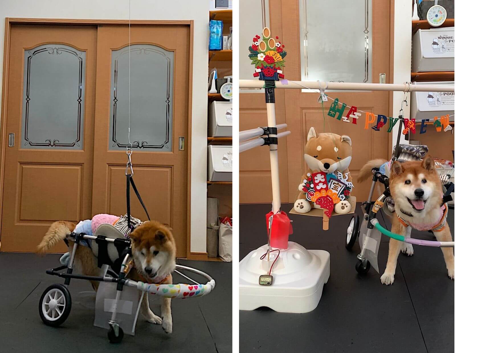 1本吊りとクルクルマシーンの２刀流　