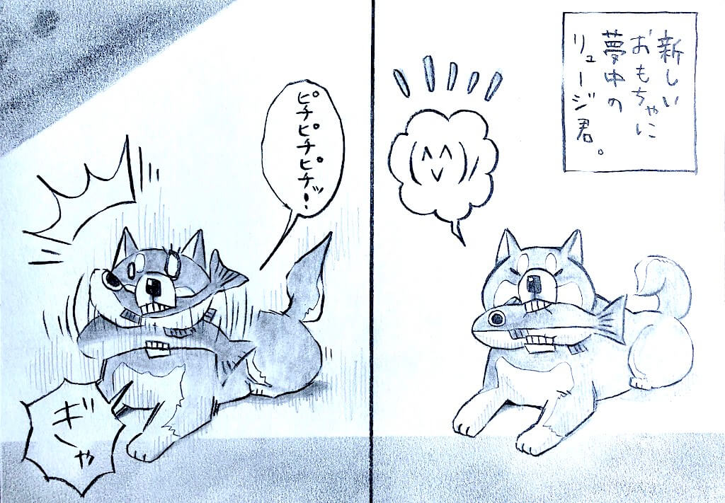 柴犬,勝手に妄想しば