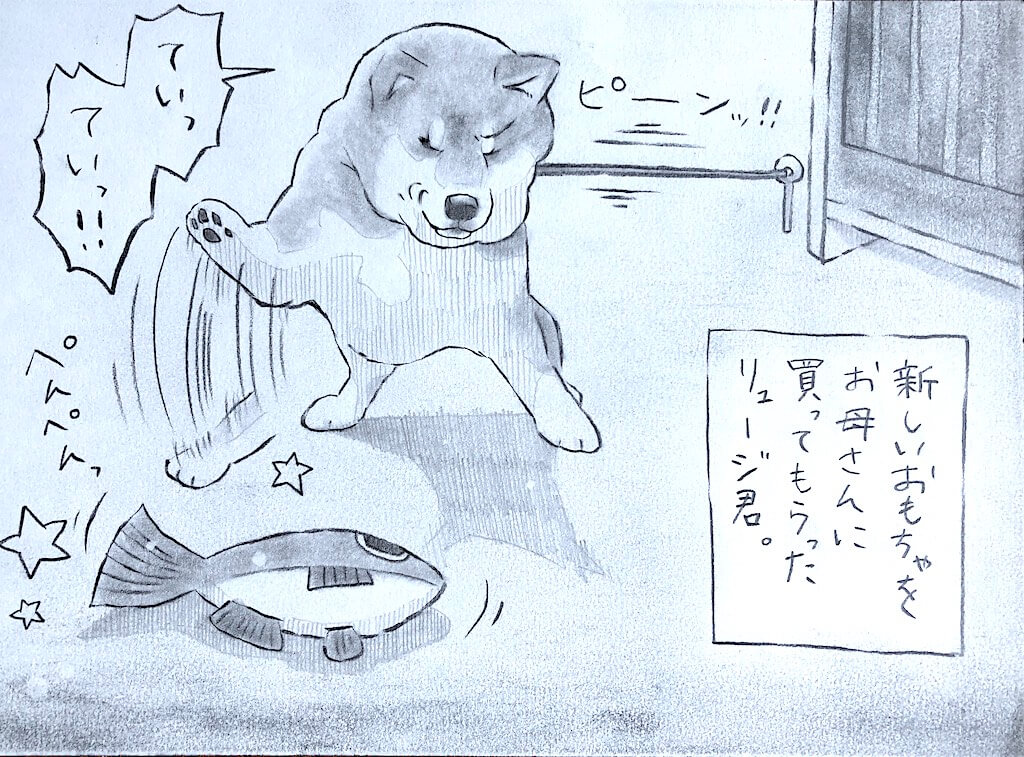 柴犬,勝手に妄想しば