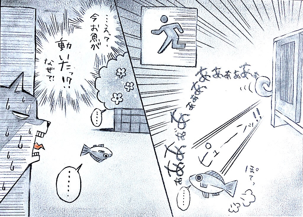 柴犬,勝手に妄想しば