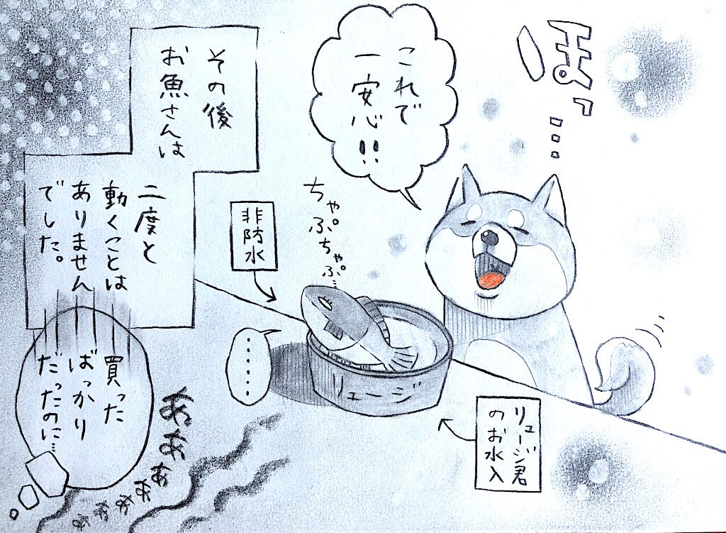 柴犬,勝手に妄想しば