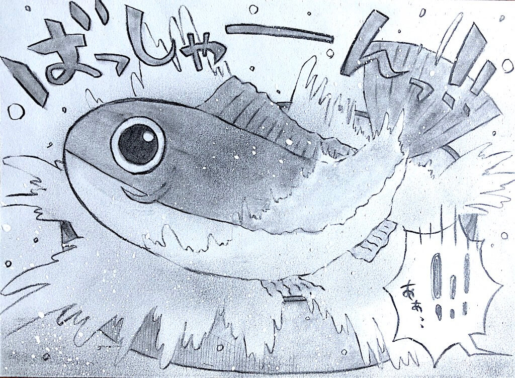 柴犬,勝手に妄想しば