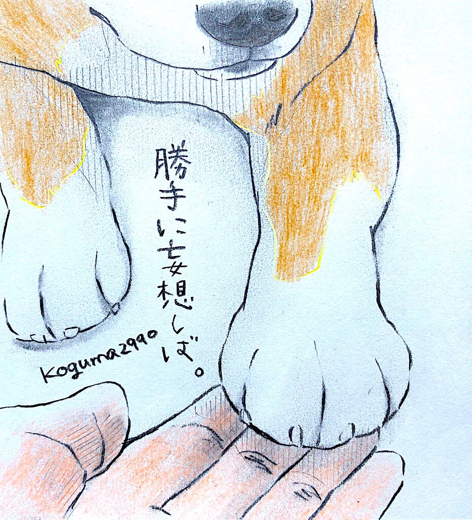 柴犬,勝手に妄想しば